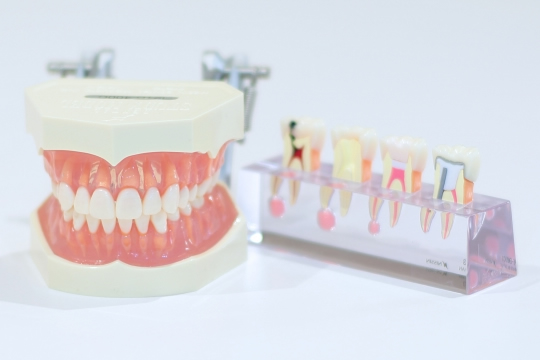 登戸の歯医者・黒岩歯科医院は歯科技工士が常駐！スピーディーで質の高い技工が可能です。